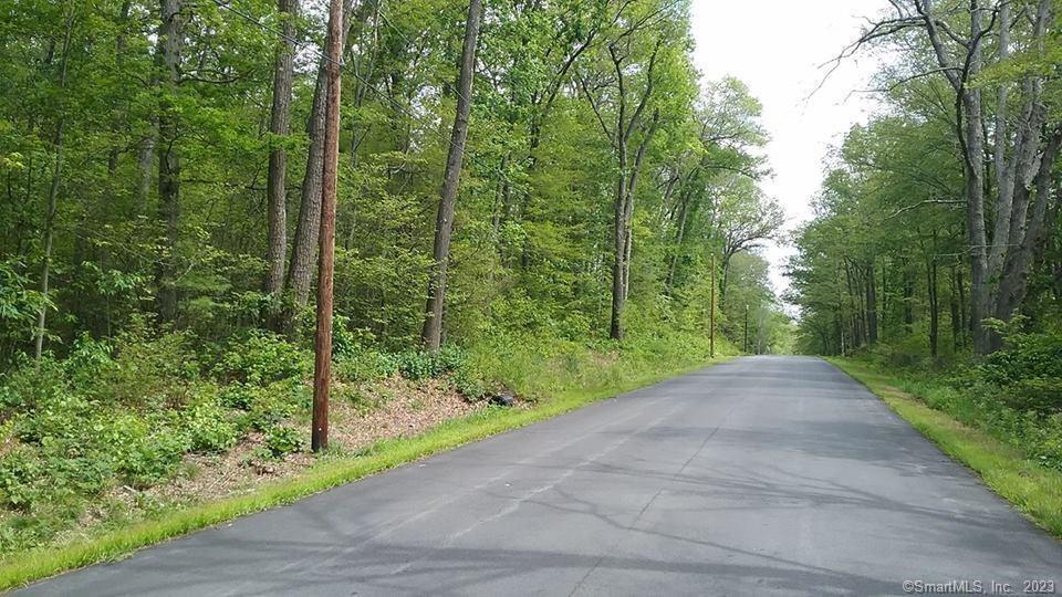 a view of a yard with a trees