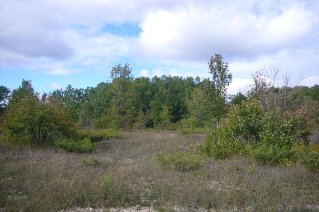 Lot #2 Beechtree Lane Oneida, WI 54155 - Photo 1 of 1