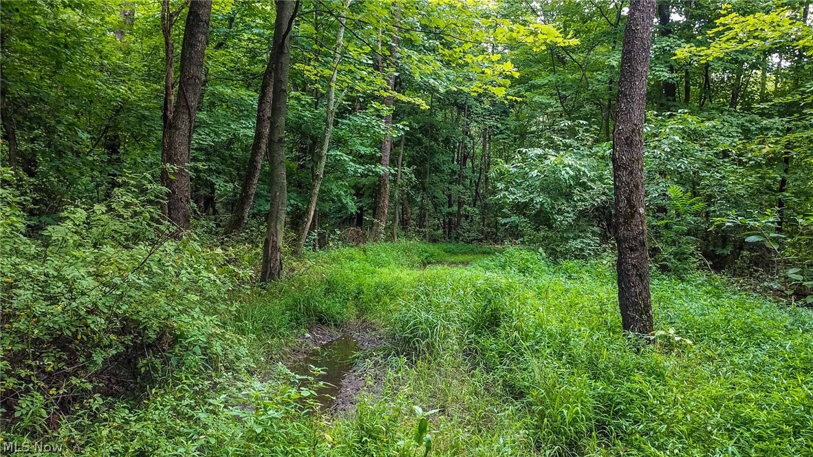Dundee Wilmot Rd Rd Beach Beach City, OH 44608 - Photo 2 of 35 Gallery Image 2