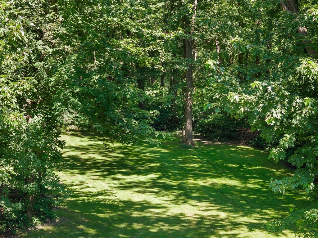 536 Moseley Road Perinton, NY 14450 - Photo 6 of 41