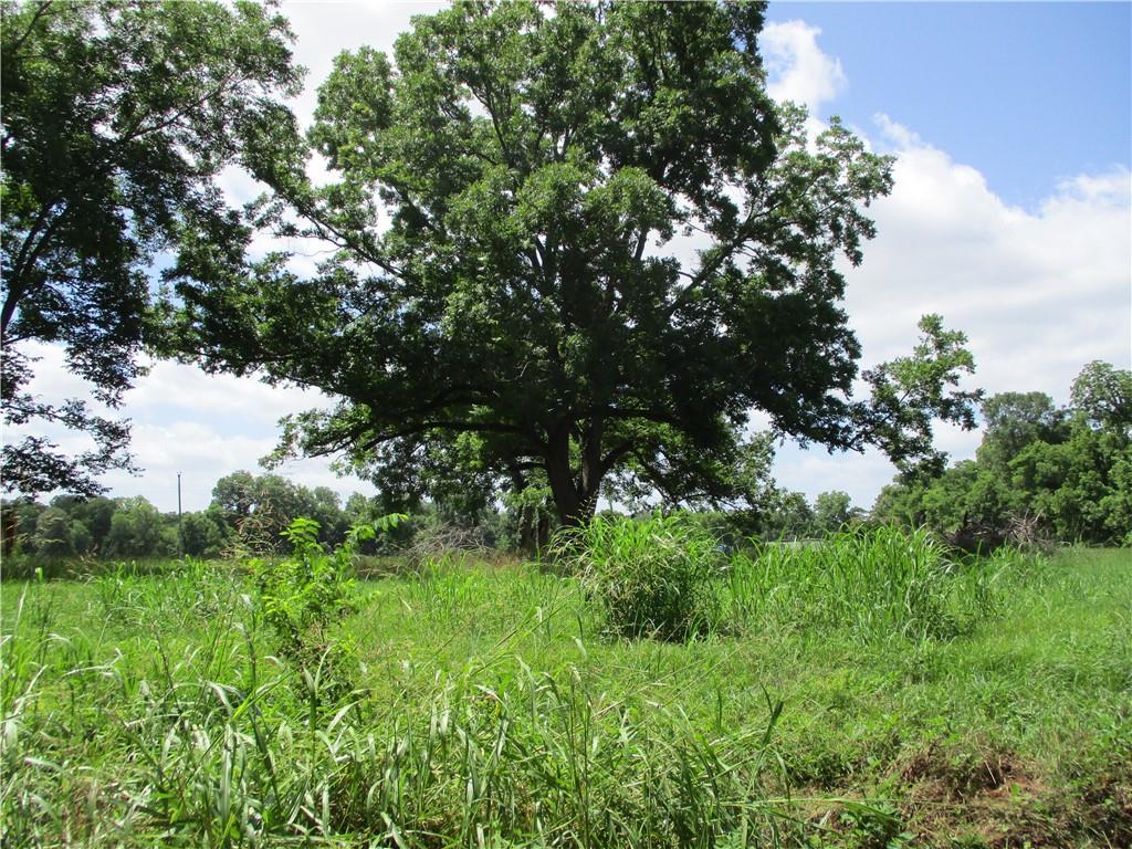 Coco Bed Road Cloutierville, LA 71416 - Photo 11 of 35