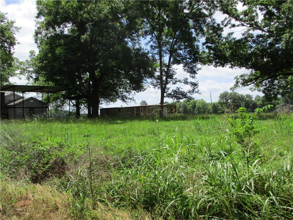 Coco Bed Road Cloutierville, LA 71416 - Photo 12 of 35