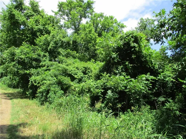 $129,000 | Coco Bed Road, Cloutierville, LA 71416