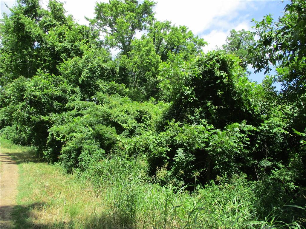 Coco Bed Road Cloutierville, LA 71416 - Photo 16 of 35