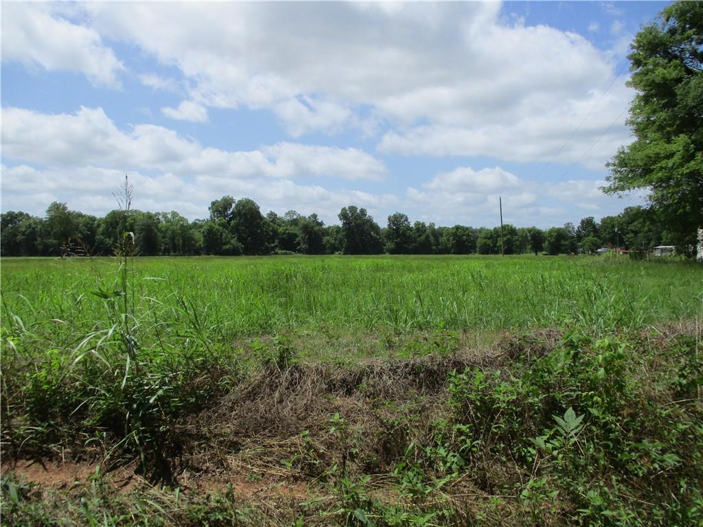 Coco Bed Road Cloutierville, LA 71416 - Photo 19 of 35