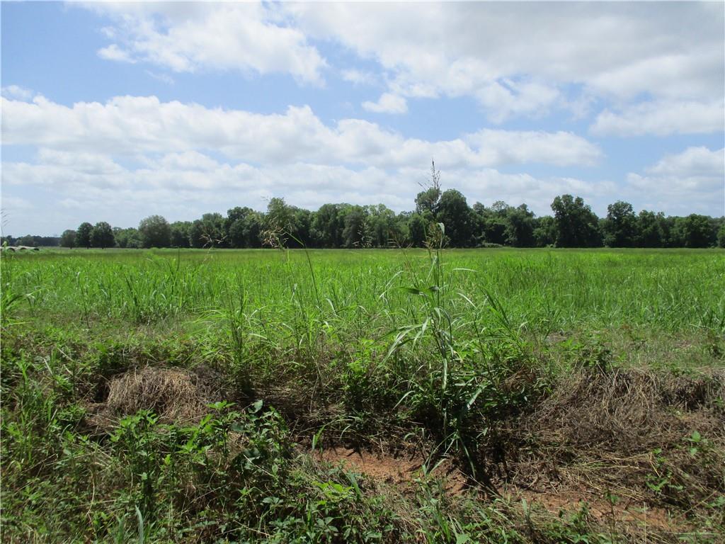 Coco Bed Road Cloutierville, LA 71416 - Photo 20 of 35