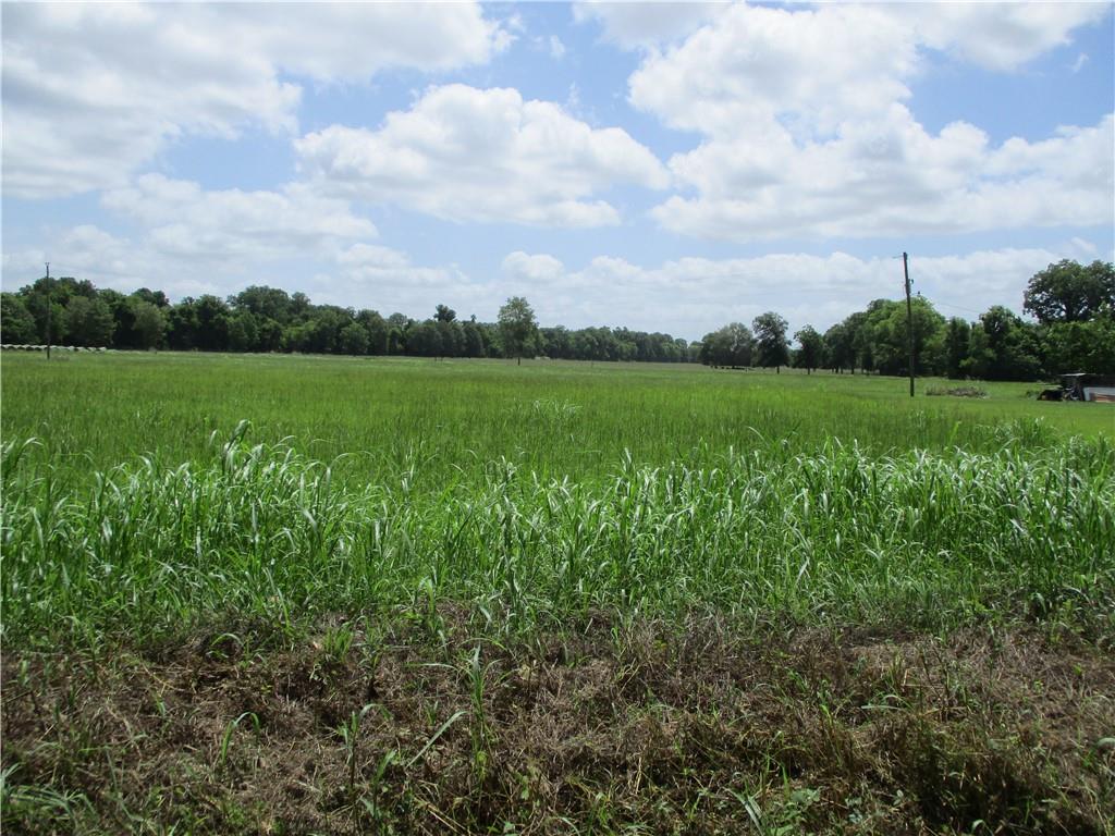 Coco Bed Road Cloutierville, LA 71416 - Photo 2 of 35