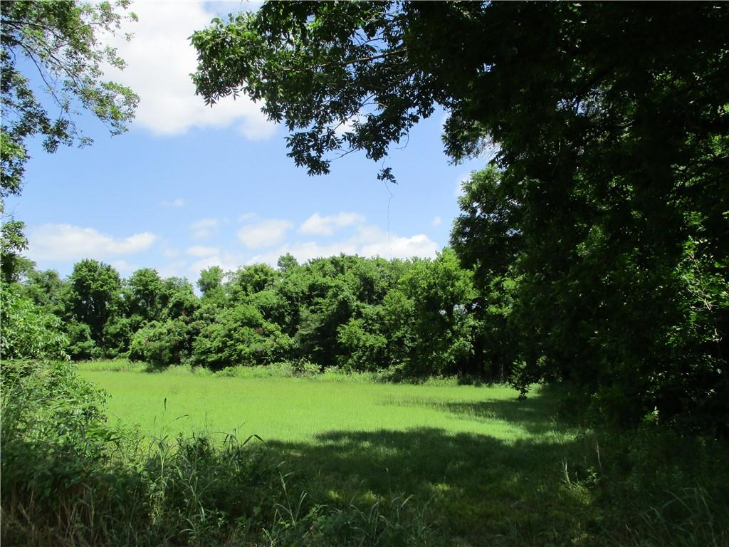 Coco Bed Road Cloutierville, LA 71416 - Photo 22 of 35