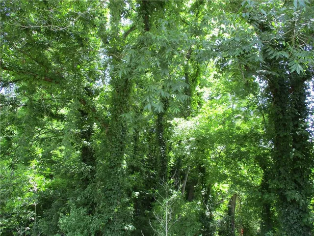 $129,000 | Coco Bed Road, Cloutierville, LA 71416