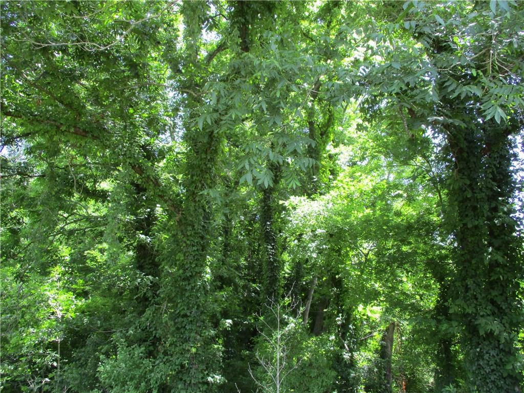 Coco Bed Road Cloutierville, LA 71416 - Photo 23 of 35