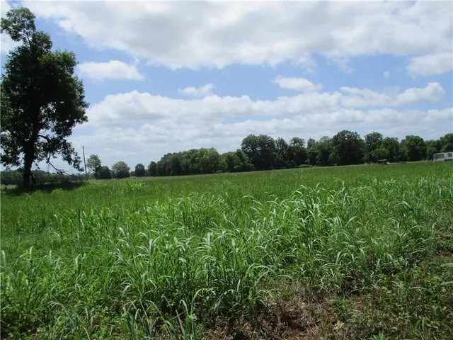 $129,000 | Coco Bed Road, Cloutierville, LA 71416