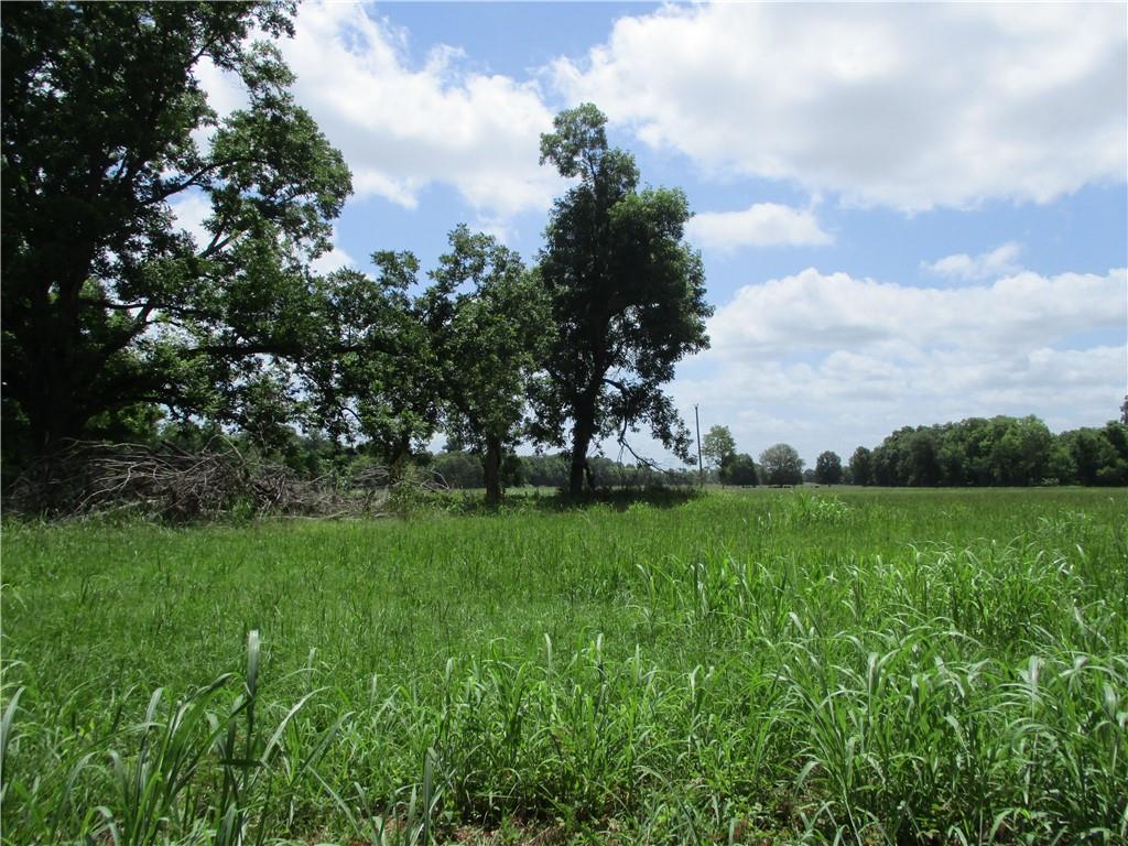 Coco Bed Road Cloutierville, LA 71416 - Photo 27 of 35