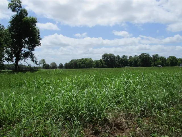 $129,000 | Coco Bed Road, Cloutierville, LA 71416