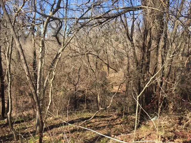 $129,000 | Coco Bed Road, Cloutierville, LA 71416