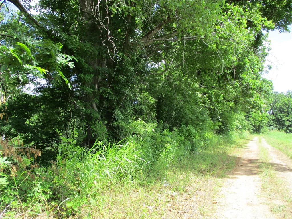 Coco Bed Road Cloutierville, LA 71416 - Photo 4 of 35