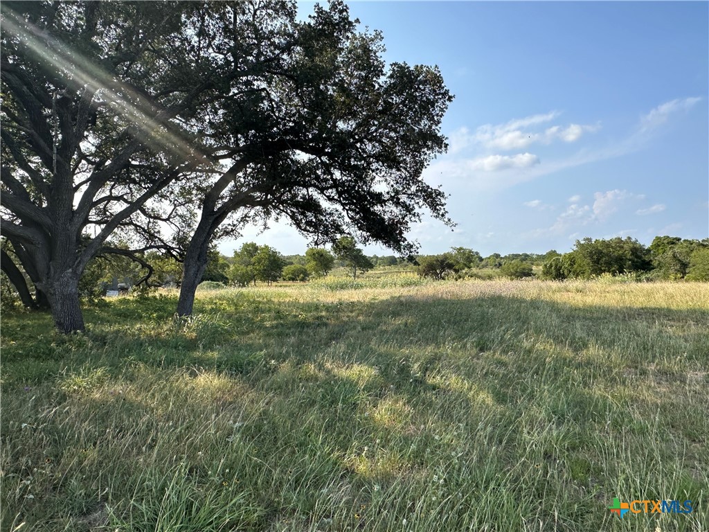 1295 Rainbow Road Cuero, TX 77954 - Photo 2 of 9 a view of lake with green space