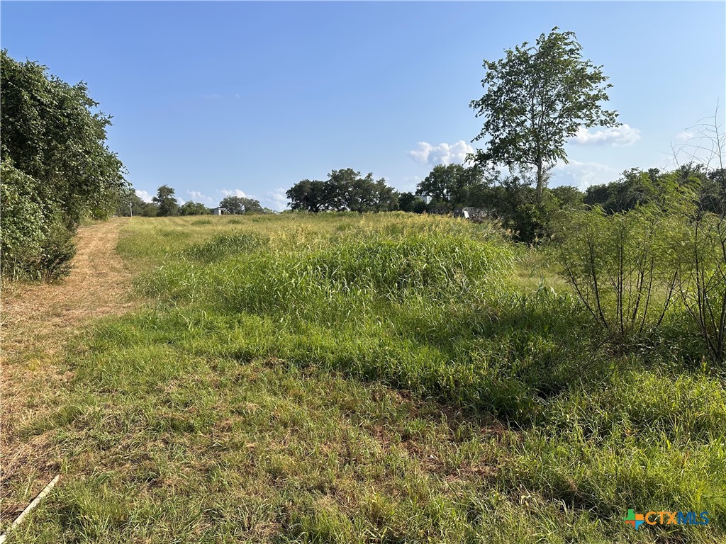 1295 Rainbow Road Cuero, TX 77954 - Photo 3 of 9 a view of a lush green outdoor space with a lake view