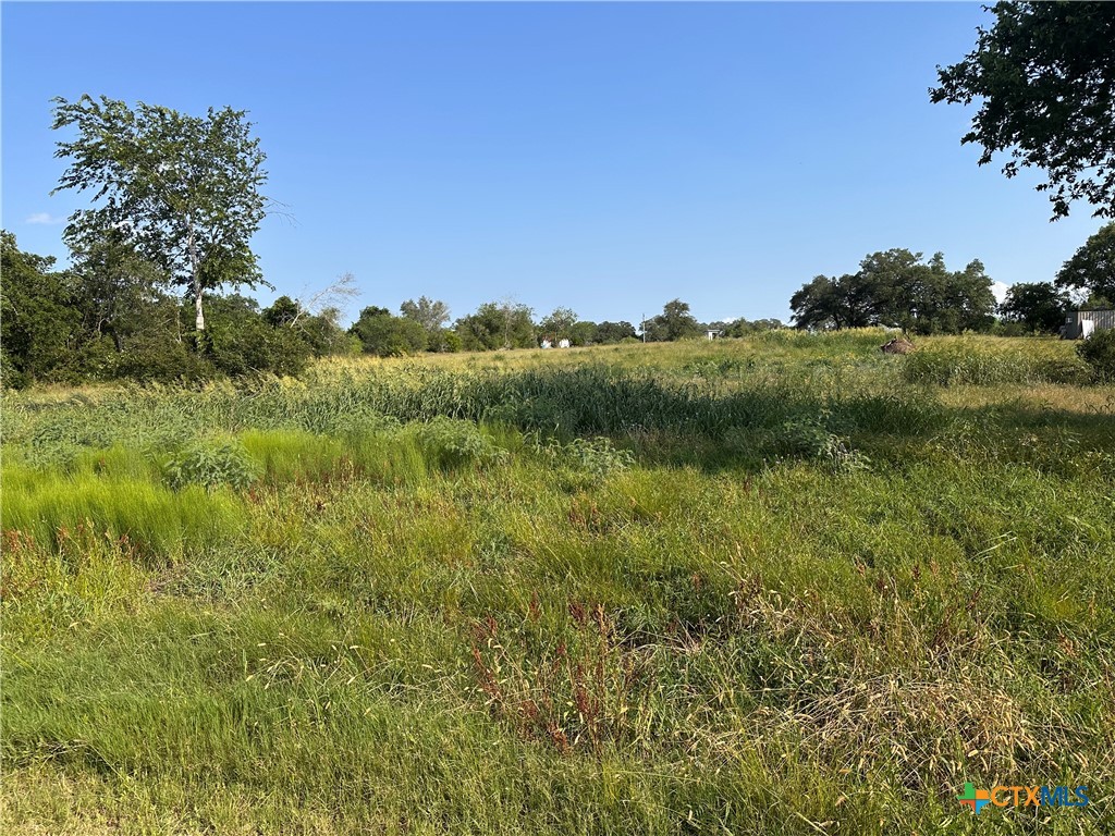 1295 Rainbow Road Cuero, TX 77954 - Photo 4 of 9 a view of a lush green outdoor space with a lake view