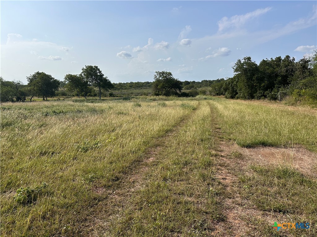 1295 Rainbow Road Cuero, TX 77954 - Photo 5 of 9 a view of lake with green space