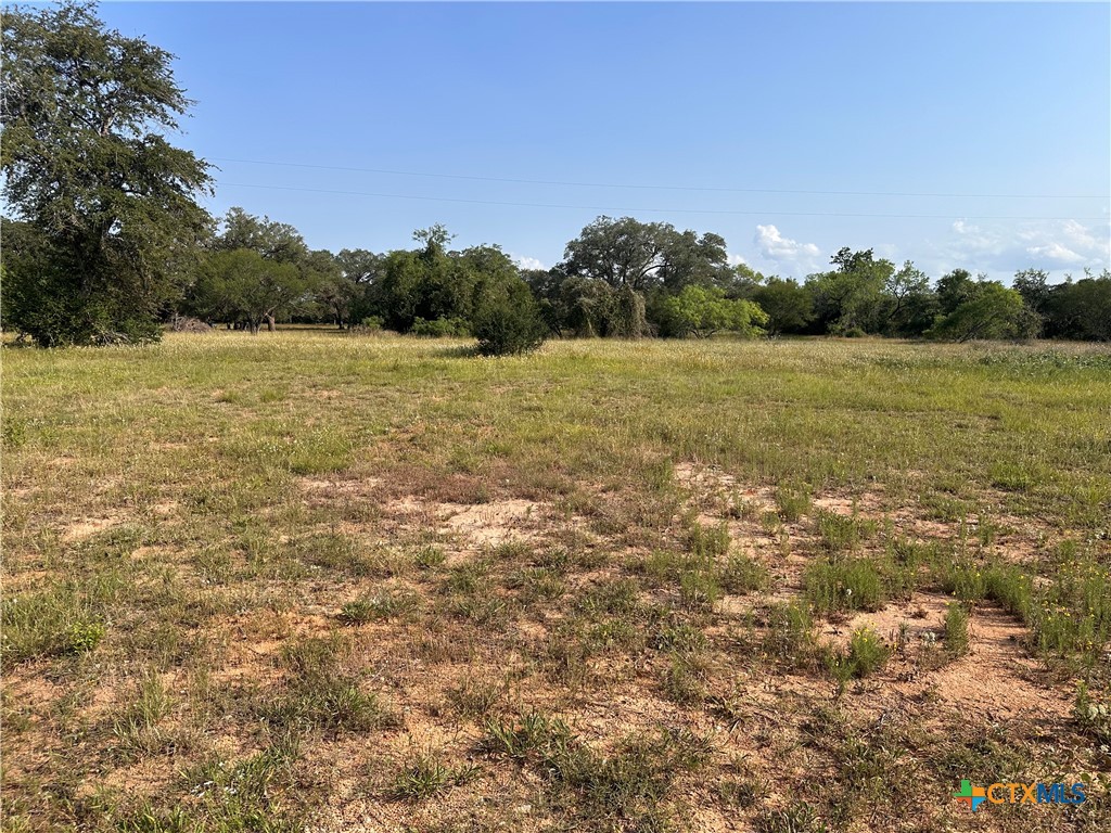 1295 Rainbow Road Cuero, TX 77954 - Photo 8 of 9 a view of lake and mountain view