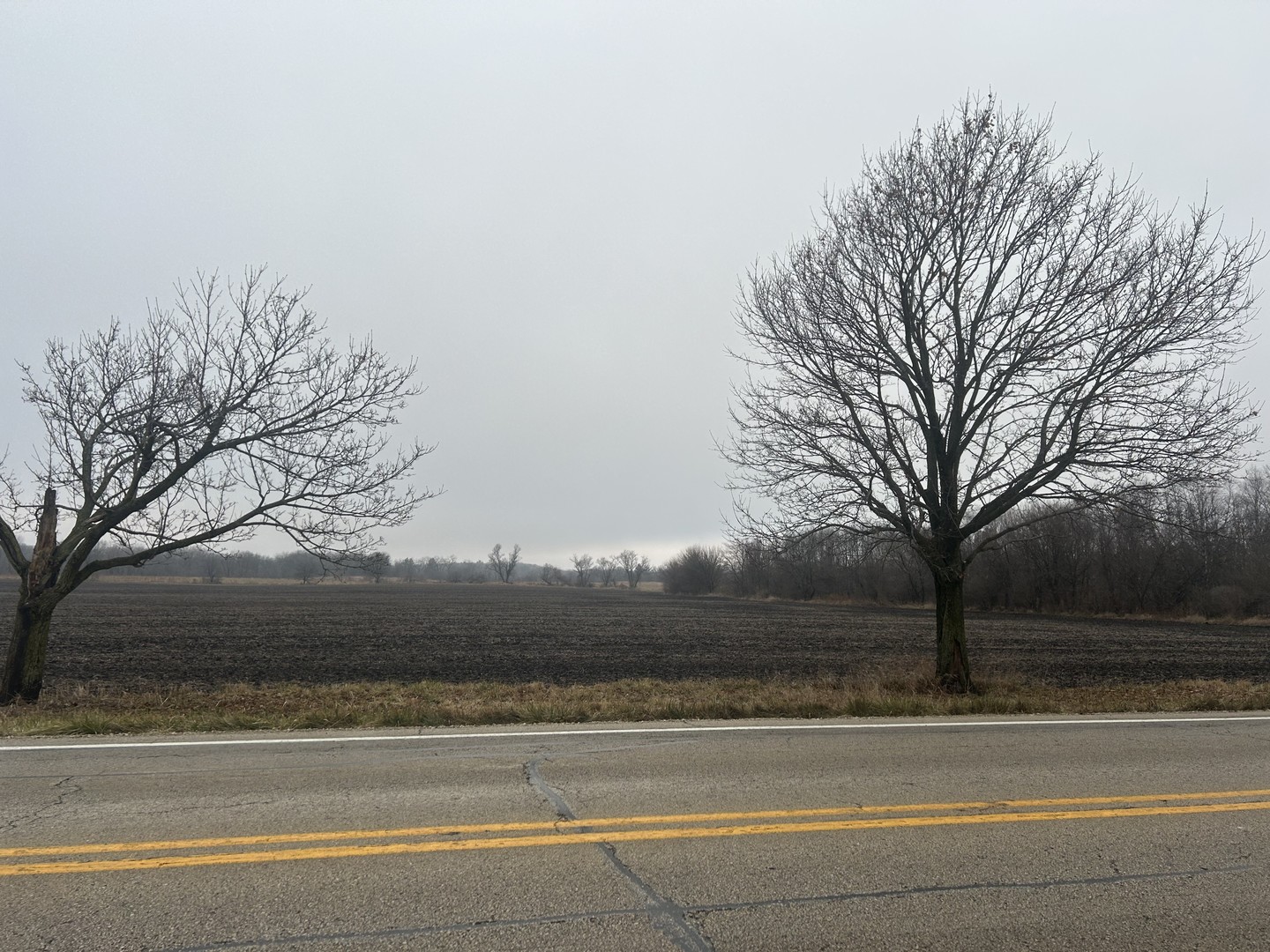 a view of road with trees