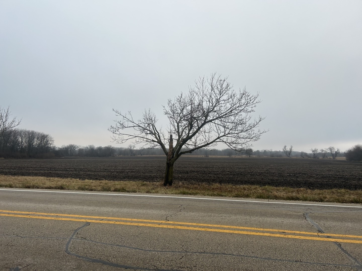 Lot 277033 Galligan Road Gilberts, IL 60136 - Photo 2 of 2