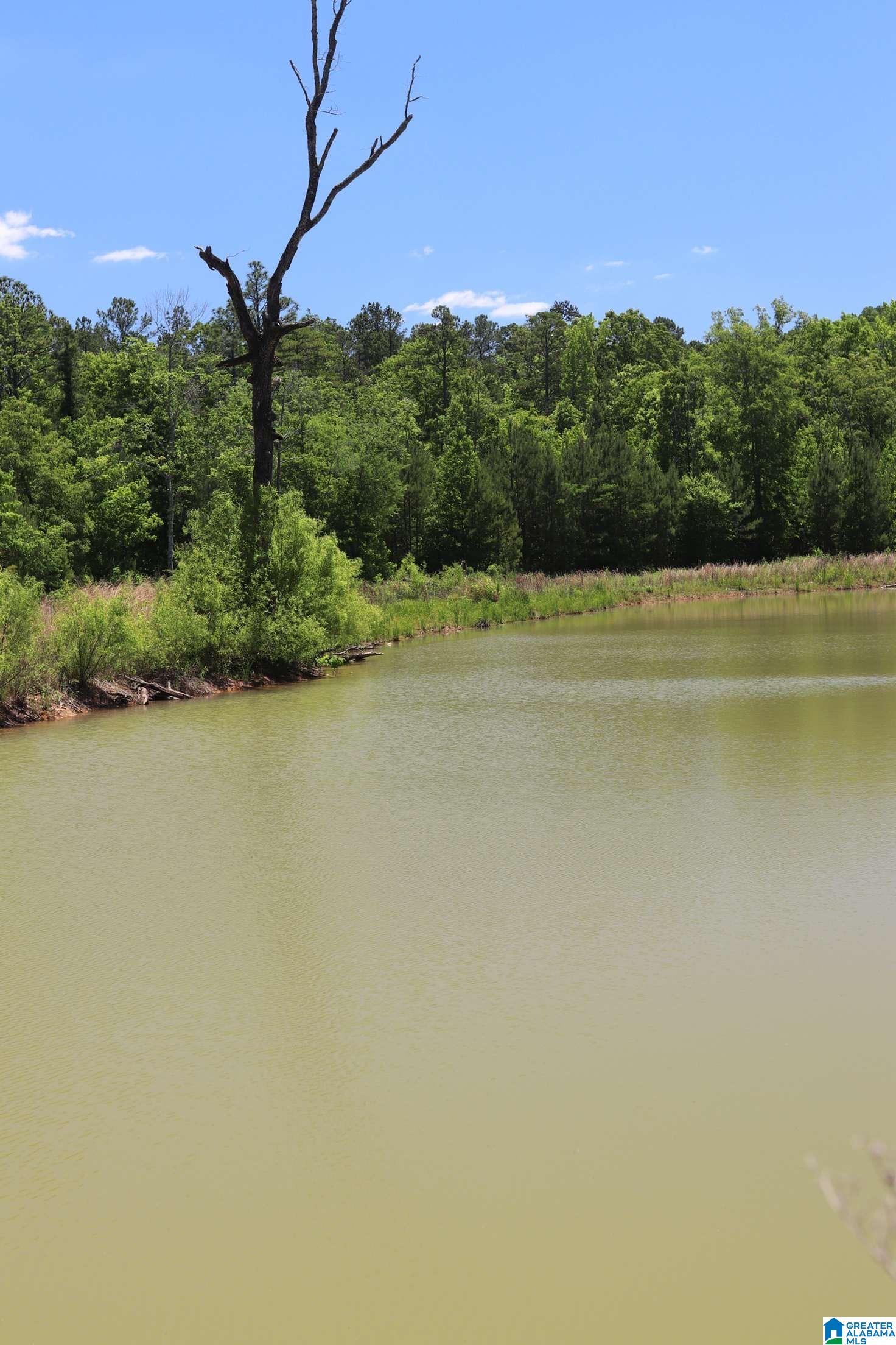 2930 Shocco Springs Road Talladega, AL 35160 - Photo 37 of 93