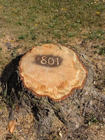 $99,900 | 801 McKinnie Avenue, Fort Wayne, IN 46806