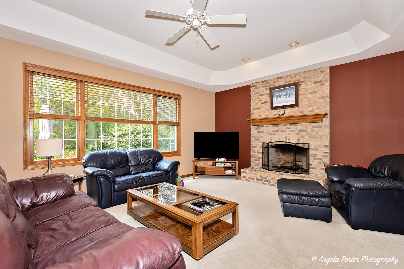 471 White Oaks Drive Cary, IL 60013 - Photo 16 of 39 a living room with furniture a fireplace and a flat screen tv