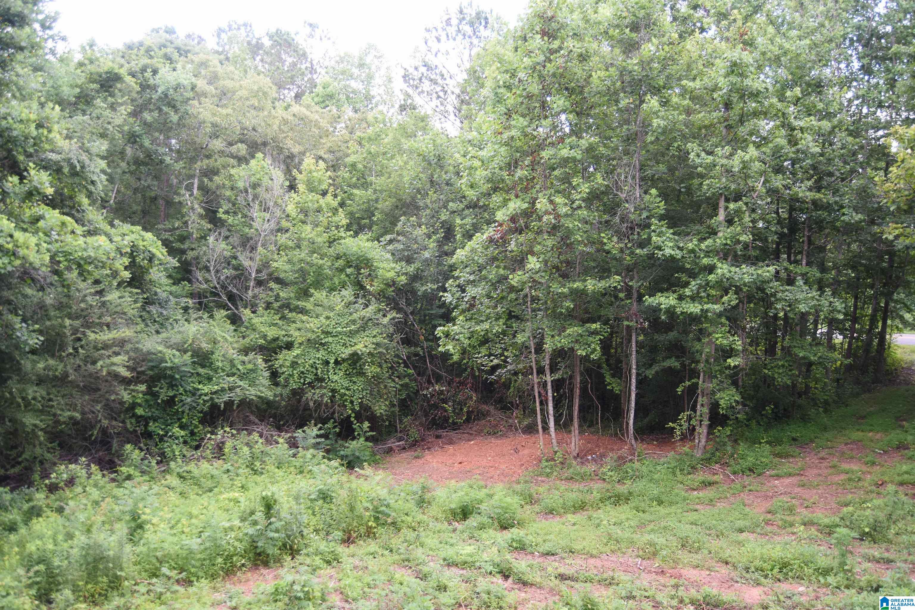 340 County Road 79 Heflin, AL 36264 - Photo 22 of 25