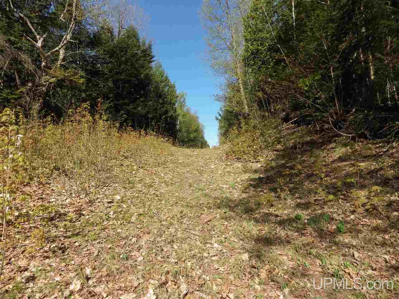 30 Acres Off Grove Street Marquette, MI 49855 - Photo 9 of 22
