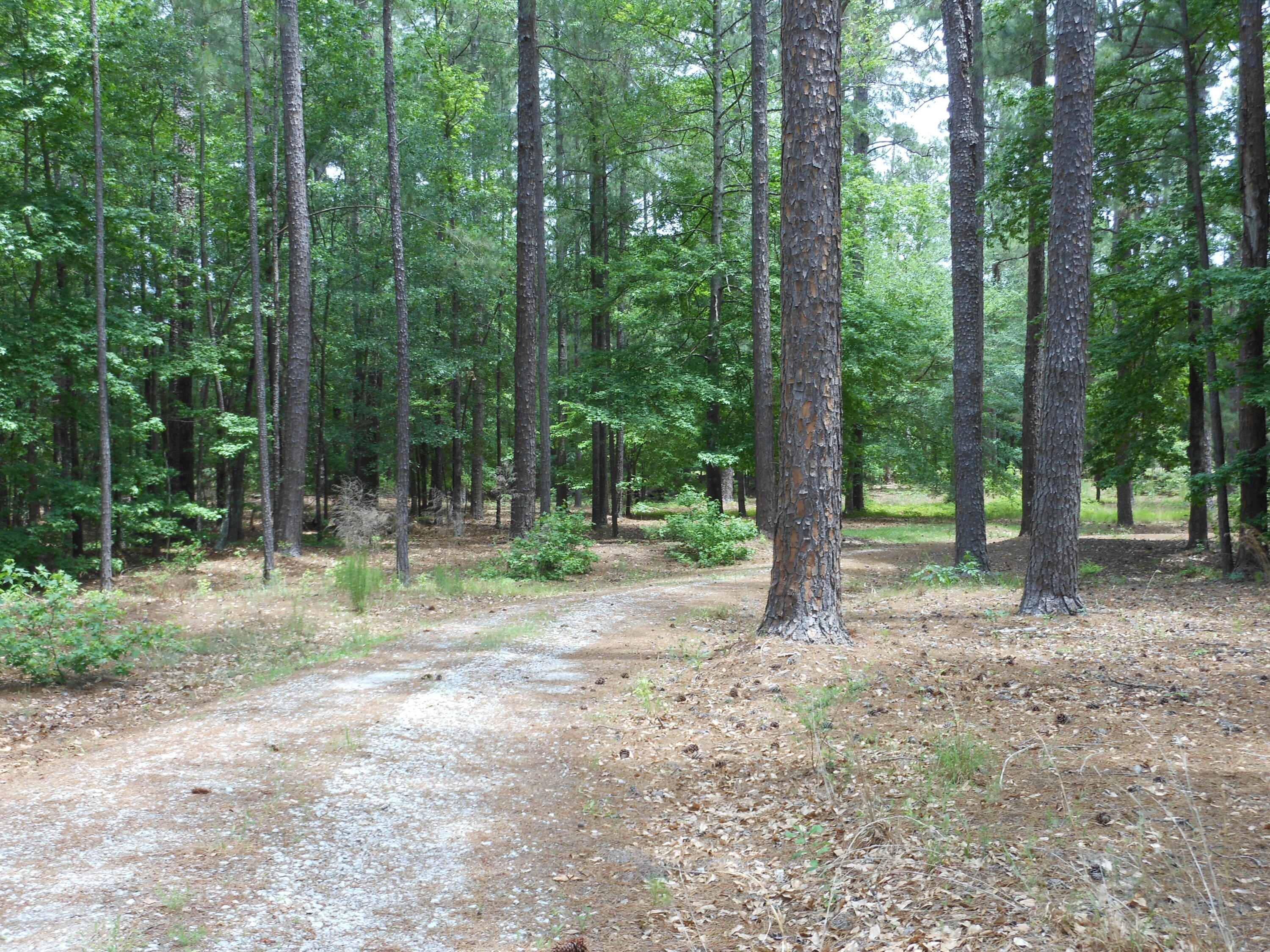 1852 Fort Creek Road Dearing, GA 30808 - Photo 75 of 75 DSCN0137