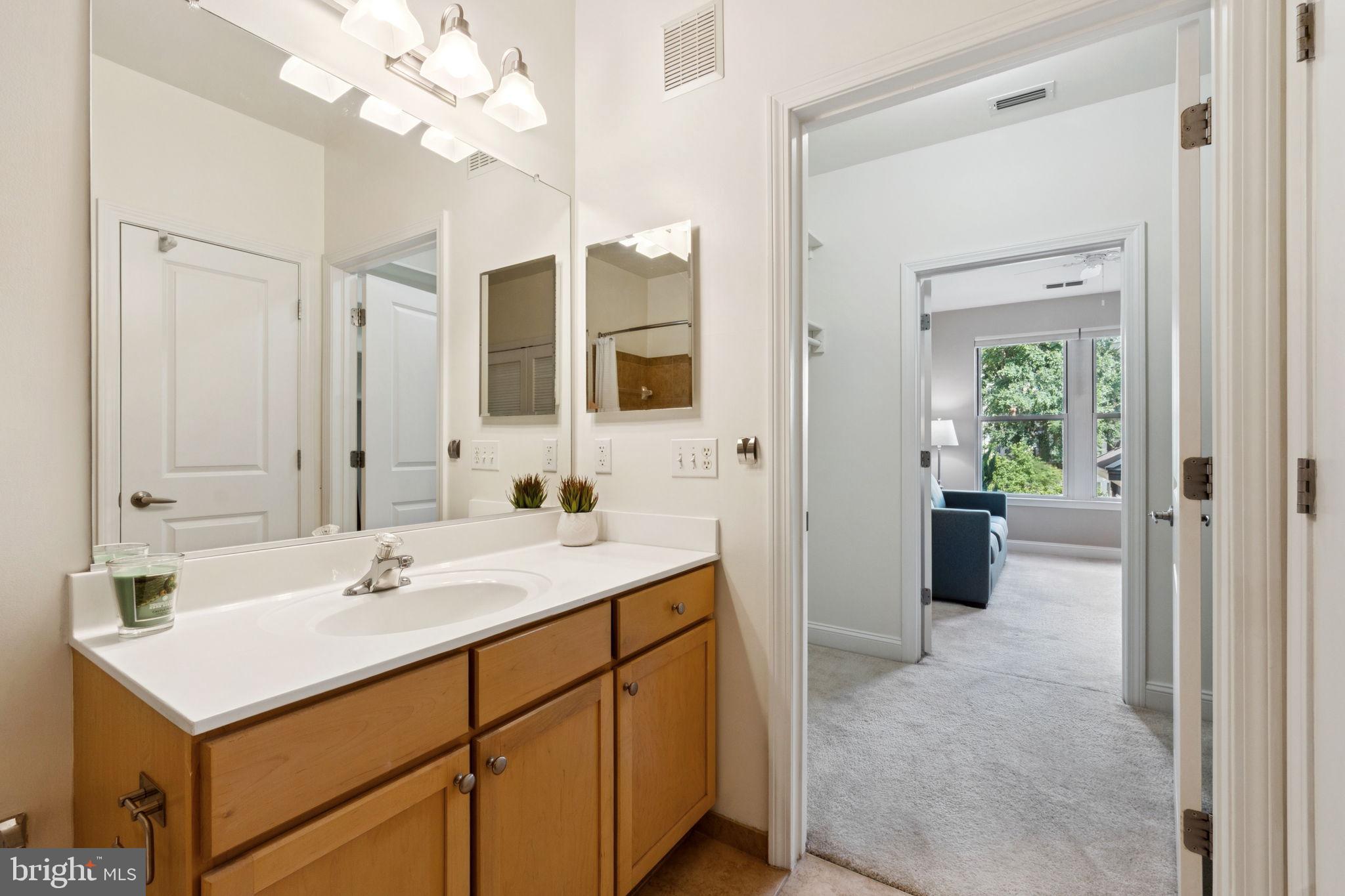 1391 Pennsylvania Ave. Southeast, Unit 352 Washington, DC 20003 - Photo 28 of 43 a bathroom with a sink vanity and a mirror
