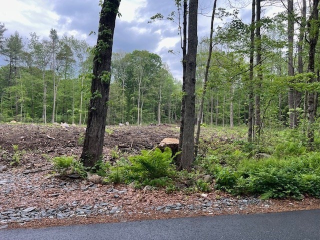 Lot 38 Edson Road Oakham, MA 01068 - Photo 2 of 5 a view of a tree in a garden