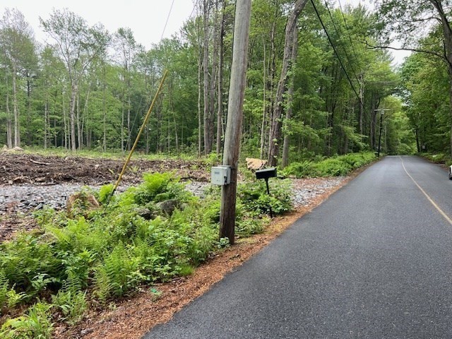 Lot 38 Edson Road Oakham, MA 01068 - Photo 3 of 5 a view of a garden with a tree