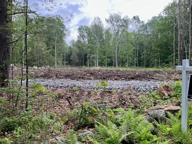 a view of outdoor space with trees all around