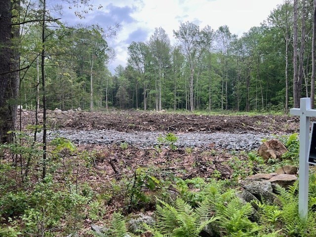 Lot 38 Edson Road Oakham, MA 01068 - Photo 4 of 5