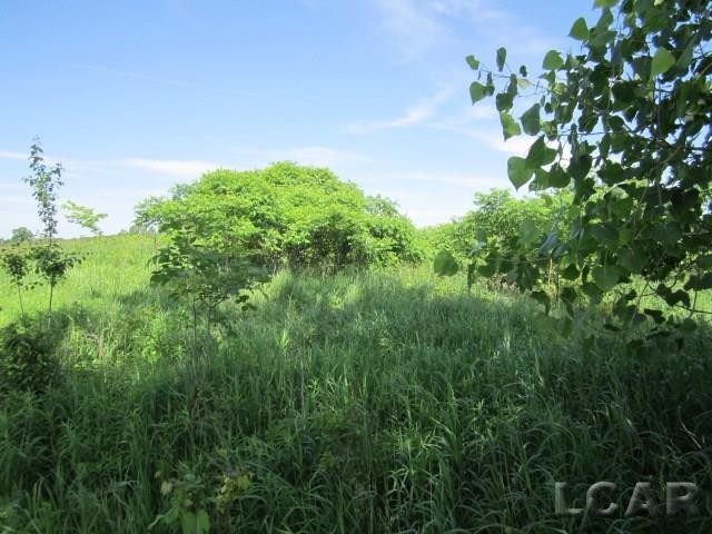 14751 Prattville Road Hudson, MI 49247 - Photo 3 of 6