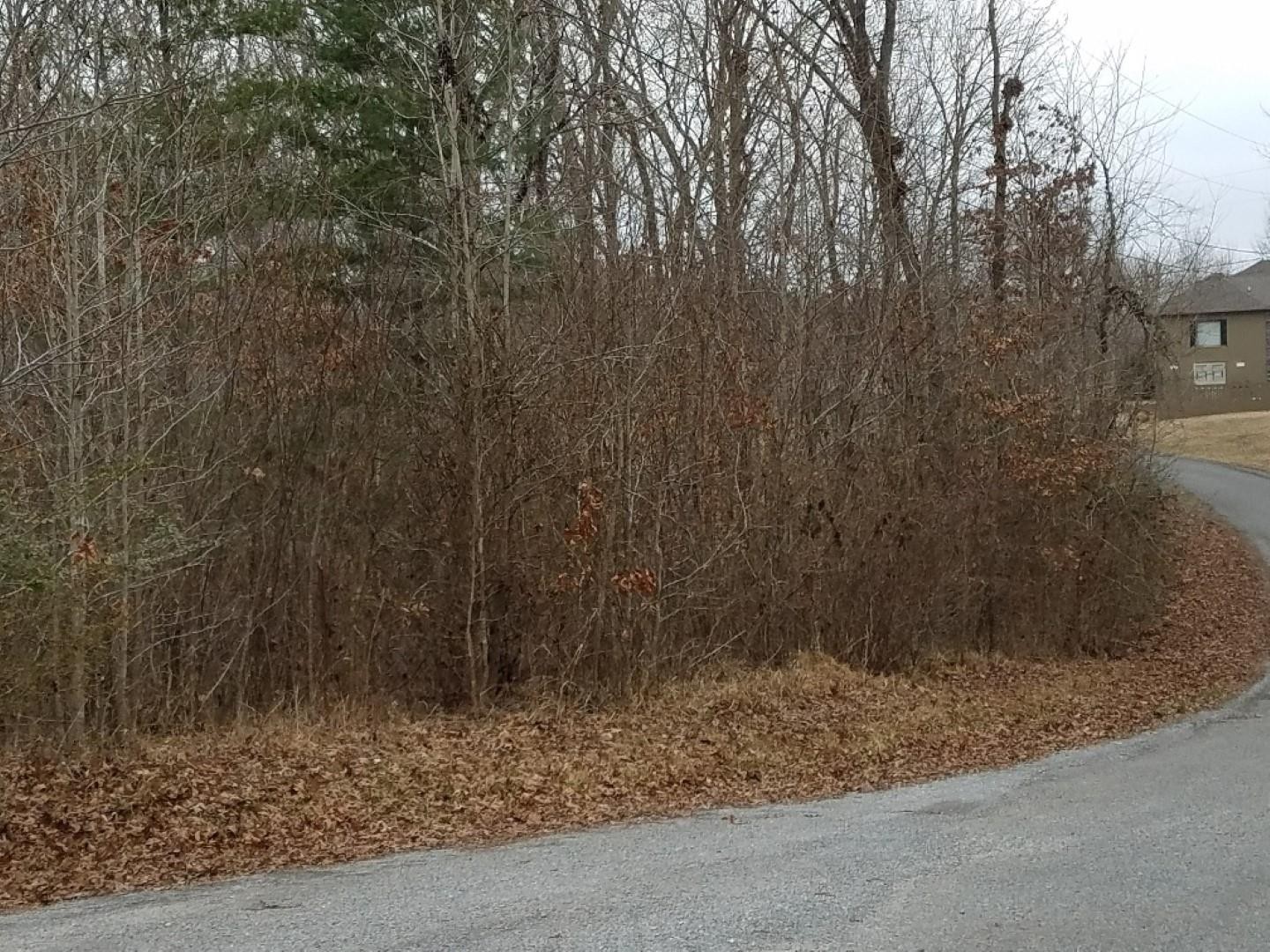 0 Refuge Overlook Road Dover, TN 37058 - Photo 1 of 6 Gallery Image 1