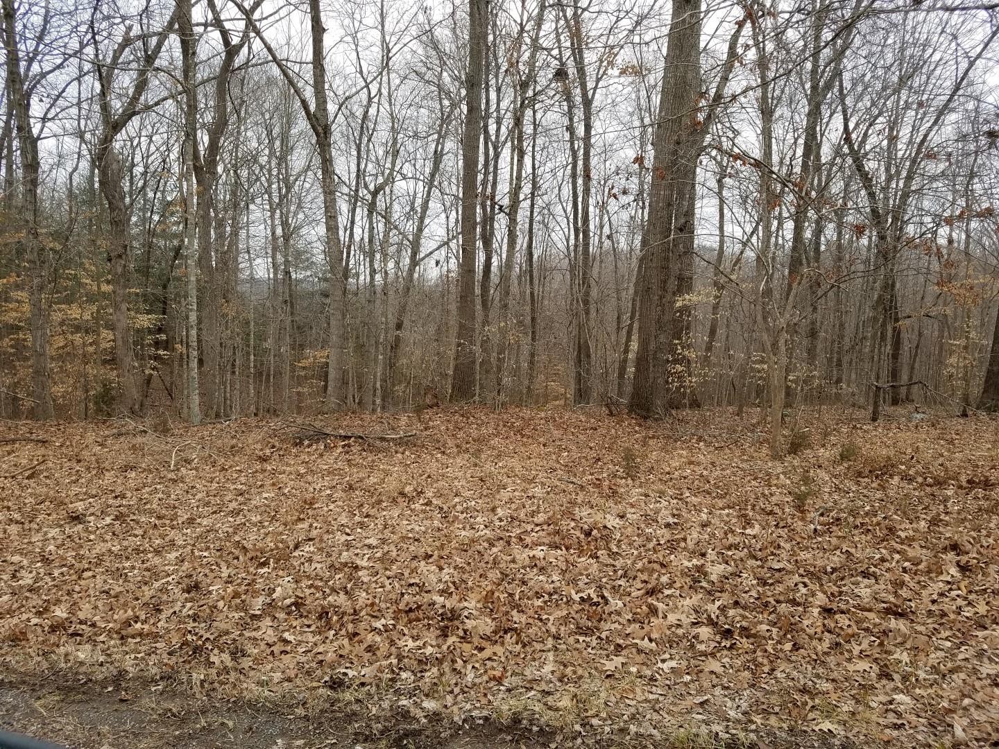 0 Refuge Overlook Road Dover, TN 37058 - Photo 4 of 6 Gallery Image 4