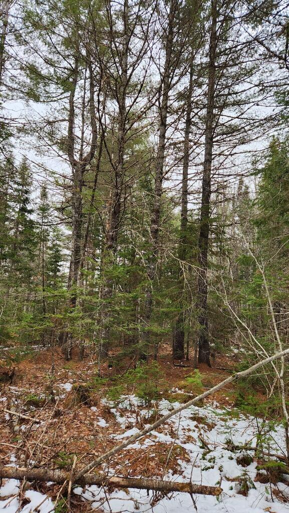 Lot 007 Old County Road Ellsworth, ME 04605 - Photo 11 of 16 20250329_113719_resized