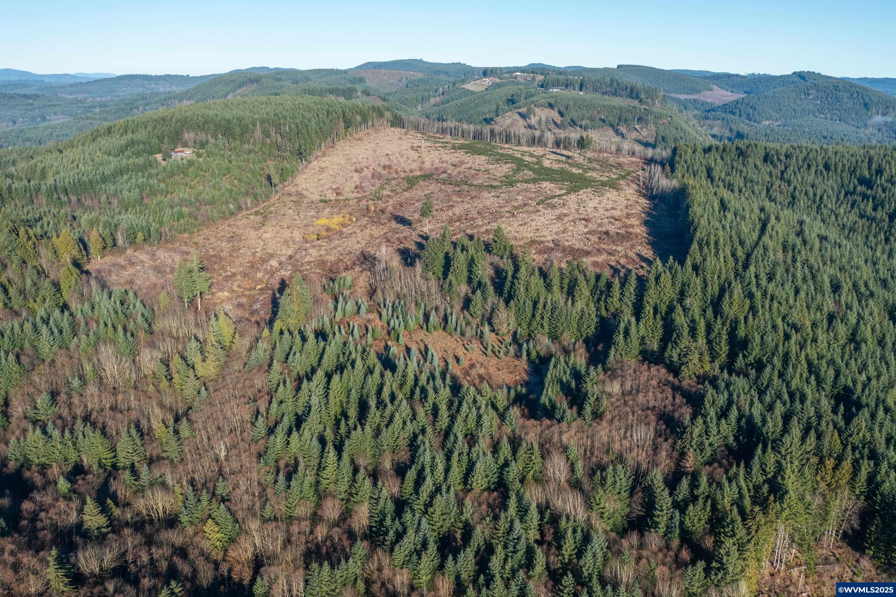 0 Northwest Sellers Road North Plains, OR 97133 - Photo 10 of 36