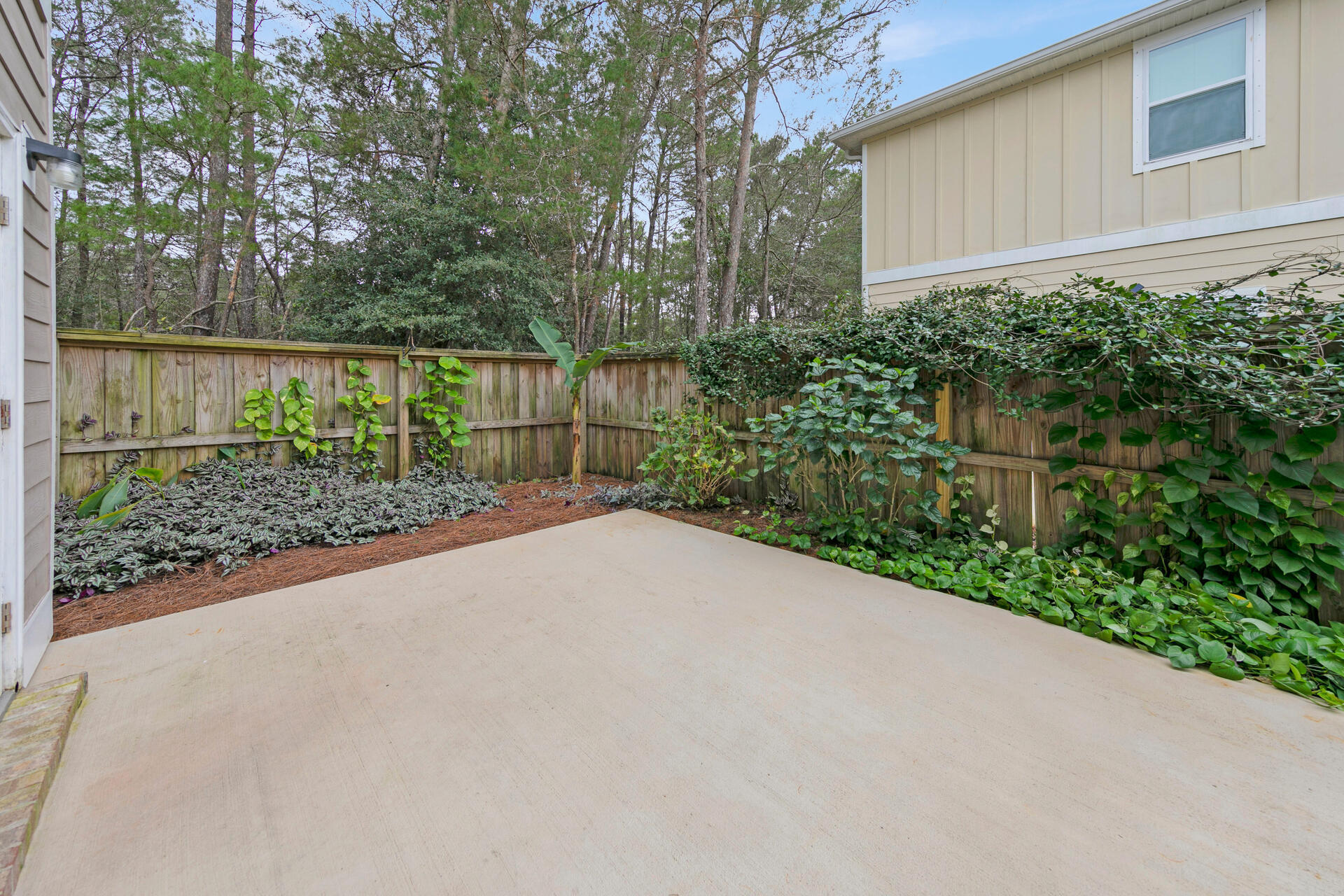 40 Horn Beam Way Santa Rosa Beach, FL 32459 - Photo 30 of 37 a view of a backyard with plants and large tree
