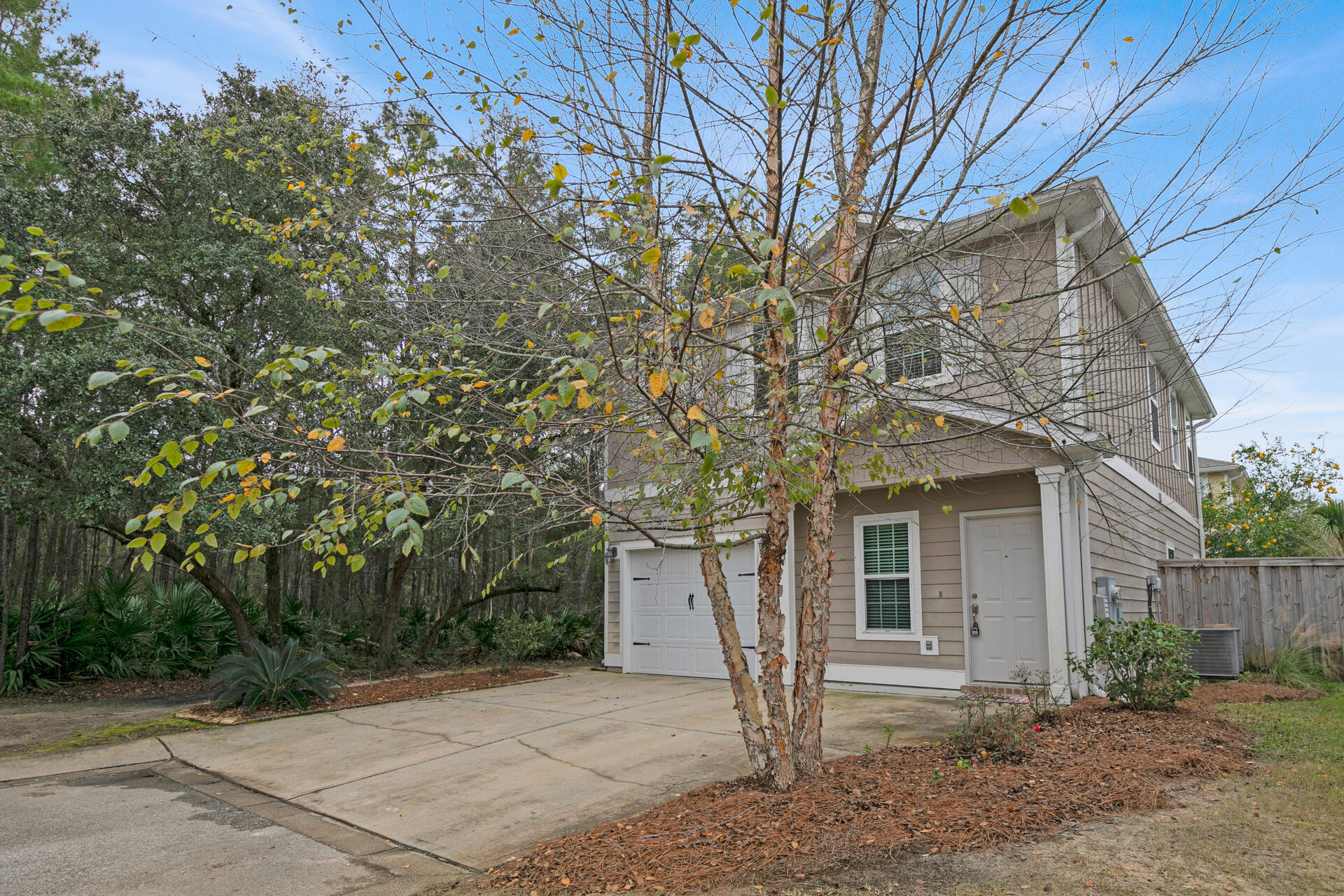 40 Horn Beam Way Santa Rosa Beach, FL 32459 - Photo 3 of 37 a house with a tree in front of it