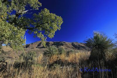 0 Grosvenor Way Rio Rico, AZ 85648 - Photo 7 of 10