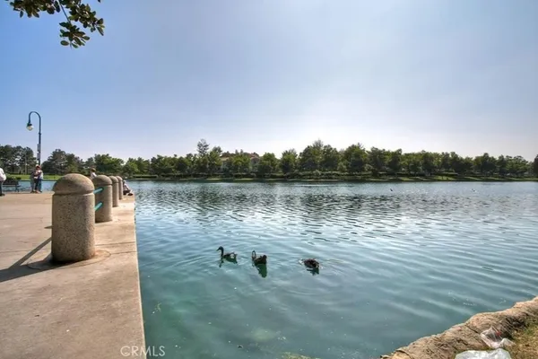 a view of swimming pool and lake view
