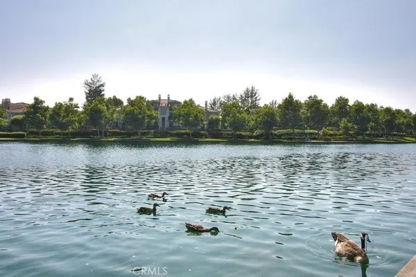 a view of swimming pool with outdoor seating and plants
