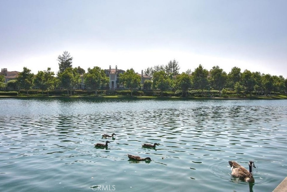 20891 Porter Ranch Road Rancho Santa Margarita, CA 92679 - Photo 43 of 63 a lake view
