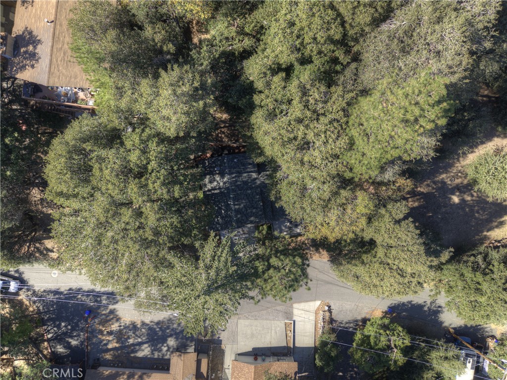 198 Zermatt Drive Crestline, CA 92325 - Photo 51 of 54 a picture of trees