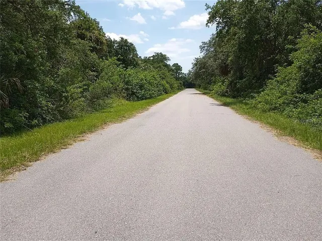a view of a road with a yard